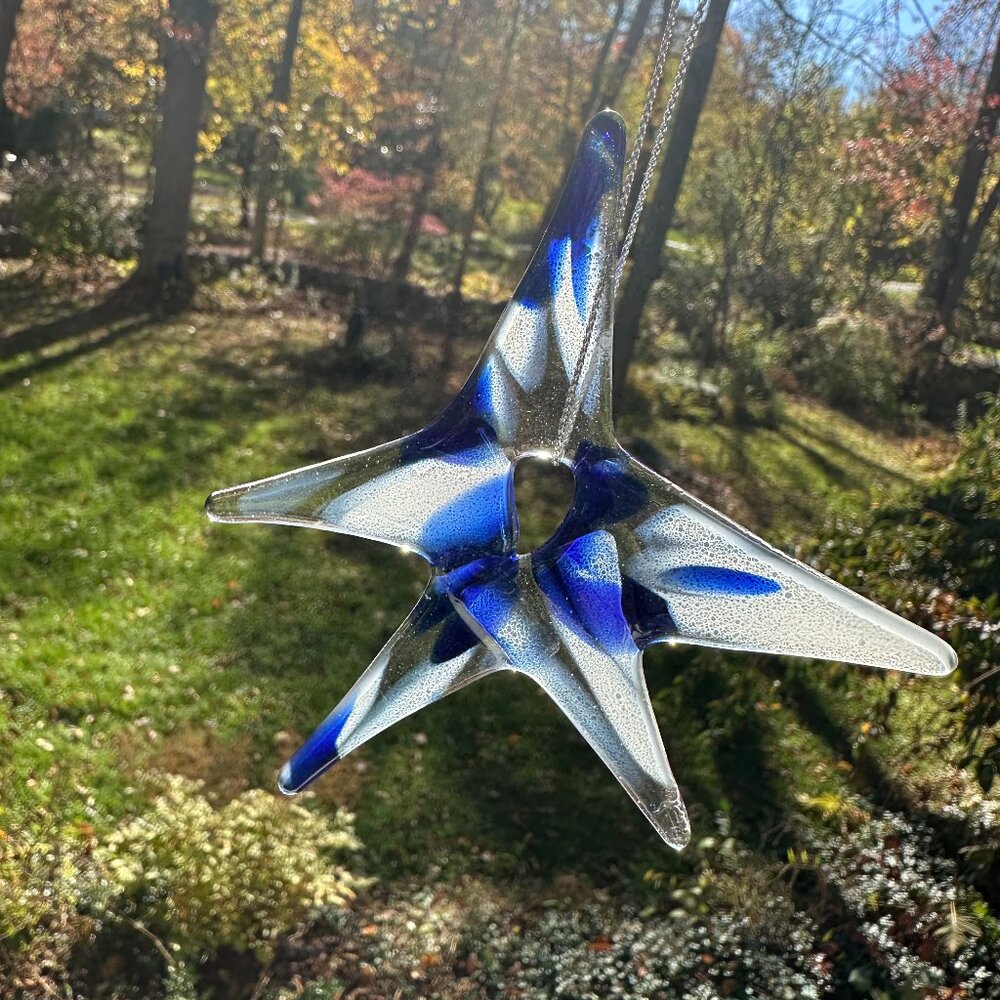 #1154 STAR MULTI COLOR 5 POINT ORNAMENT BLUE & WHITE FUSED